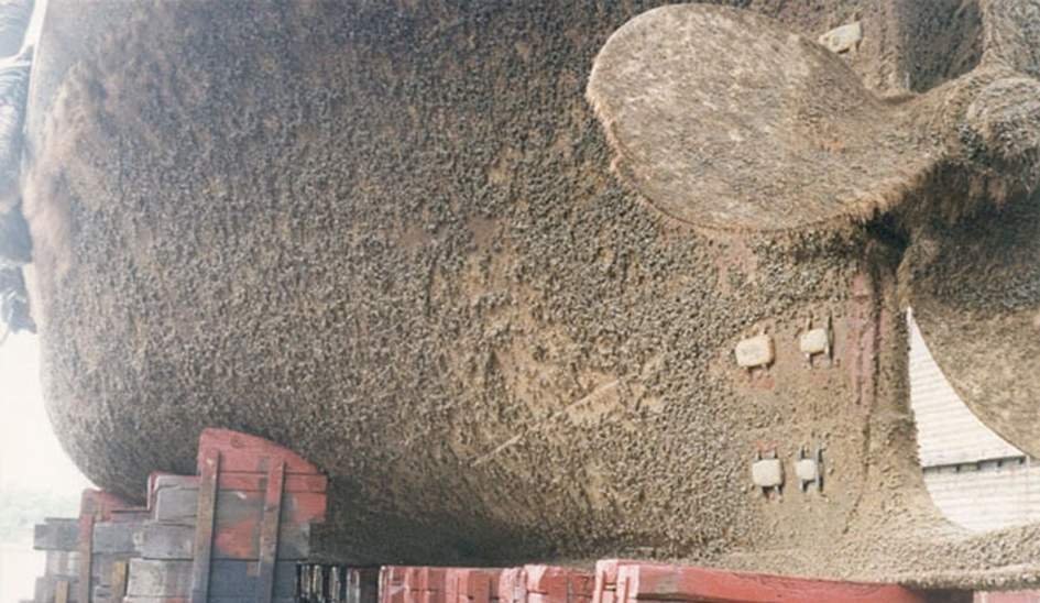 رنگ ضدخزه - ضدخزه دریایی