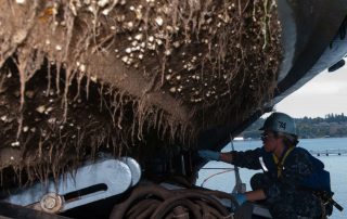 رنگ ضدخزه دریایی - خرید ضدخزه