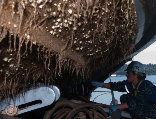 انواع”رنگ ضدخزه دریایی” و مکانیزم هر کدام، رنگ‌های ضدخزه دریایی جدید و پیشرفته