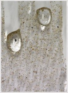 پوشش آبگریز