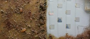 رنگ ضدخزه جدید