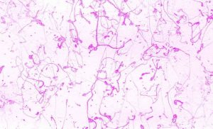 رنگ ساختمانی مولتیکالر-رنگ ساختمانی جدید