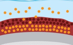 مکانیزم رنگ‌های ضدخزه