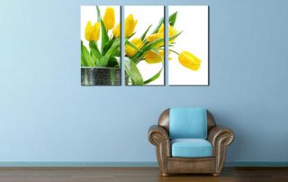 رنگ ساختمانی - رنگ اکریلیک