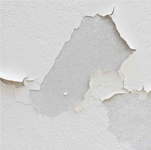 پات لایف - pot life